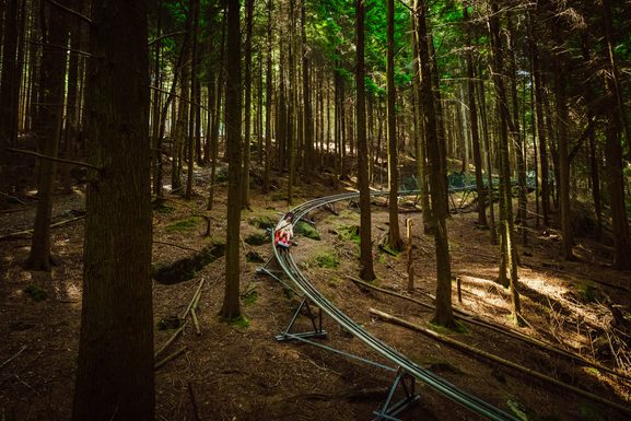 Fforest3 66