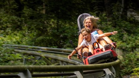 Fforest Hero Cropped