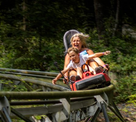 Fforest Hero Cropped