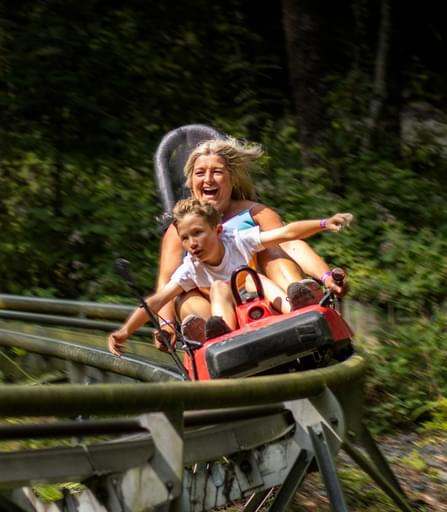 Fforest Hero Cropped