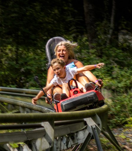 Fforest Hero Cropped