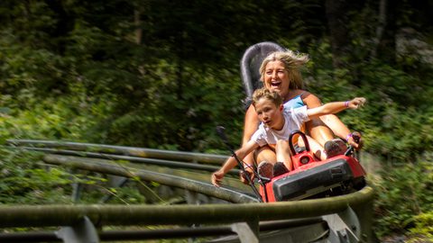 Fforest Hero Cropped