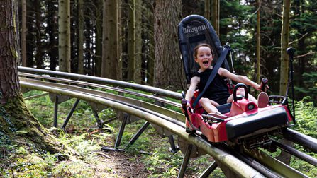 Forsegla Coaster Fforest Coaster | Soar at 25mph through the Welsh woodland | Zip World
