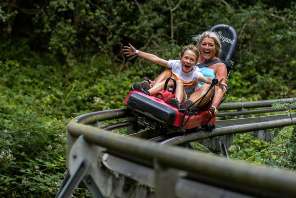 Forsegla Coaster Fforest Coaster | Soar at 25mph through the Welsh woodland | Zip World