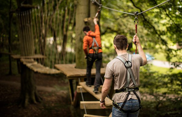 Locals get 50% off at Zip World this winter 2024! | Blog | Zip World
