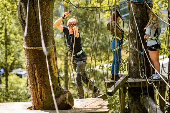Mini Trek Windermere | A treetop high-ropes course for the adventurous ...