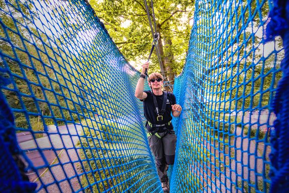 Mini Trek Windermere | A treetop high-ropes course for the adventurous ...