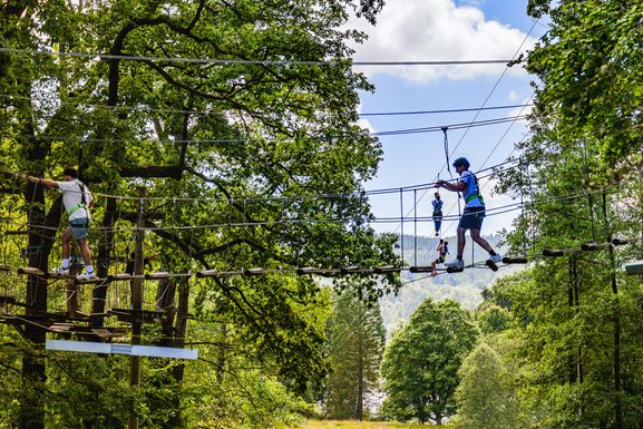 Mini Trek Windermere | A treetop high-ropes course for the adventurous ...