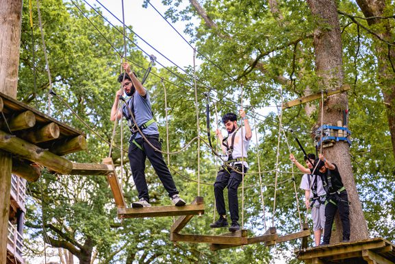Mini Ropes Course Mini Trek Windermere | A treetop high-ropes course for the adventurous ...