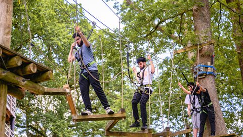 Mini Ropes Course For Events Mini Trek Windermere | A treetop high-ropes course for the adventurous ...