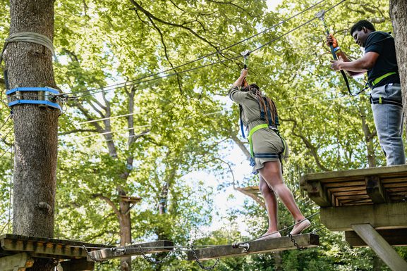 Mini Trek Windermere | A treetop high-ropes course for the adventurous ...