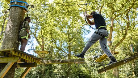 Mini Trek Windermere | A treetop high-ropes course for the adventurous ...
