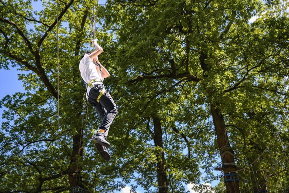 Mini Trek Windermere | A treetop high-ropes course for the adventurous ...