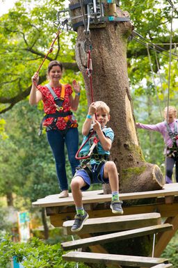 Mini Trek Windermere | A treetop high-ropes course for the adventurous ...