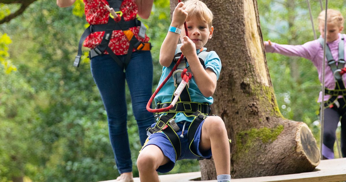 Mini Trek Windermere | A treetop high-ropes course for the adventurous ...