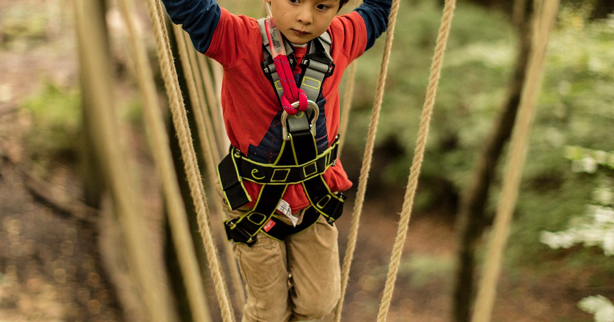 Mini Ropes Course For Events Mini Trek Manchester | A treetop high-ropes course for the adventurous ...