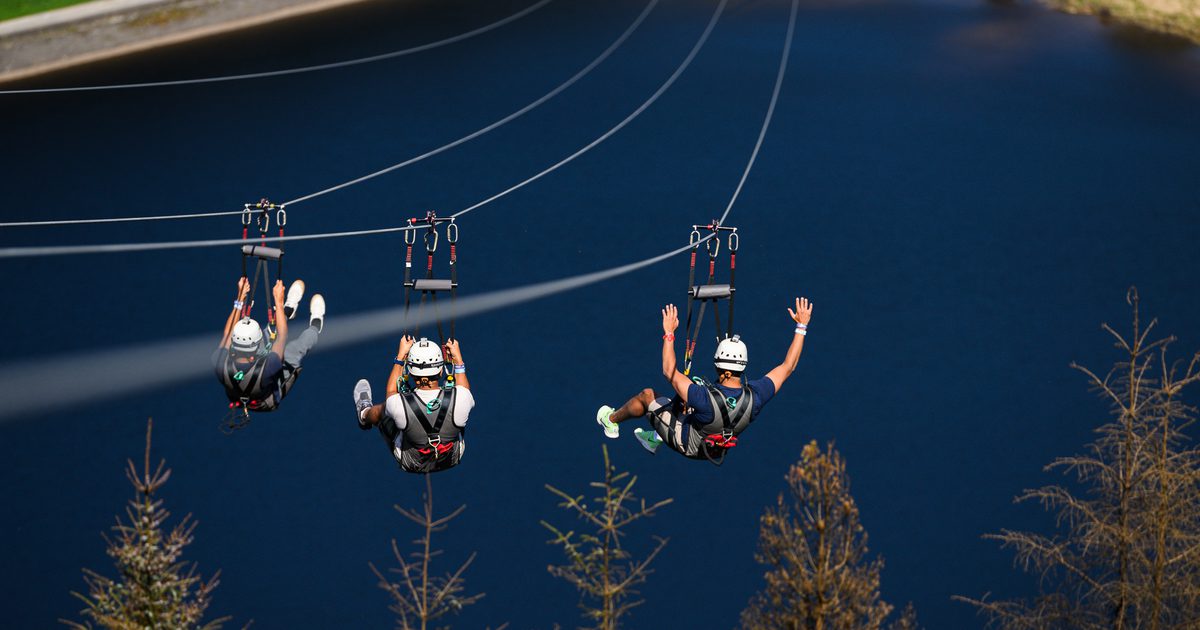 Zip World Tower gift vouchers are now available | Blog | Zip World