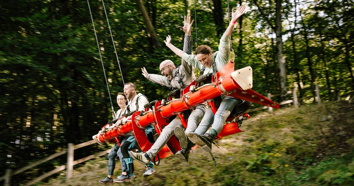Zip World Black Friday Offer 2024 | Blog | Zip World