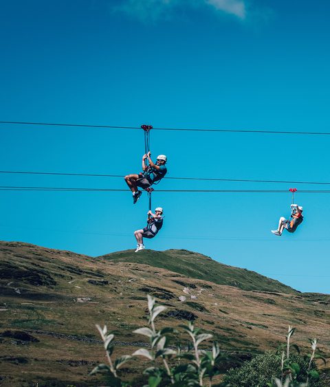 Zip World Titan 121