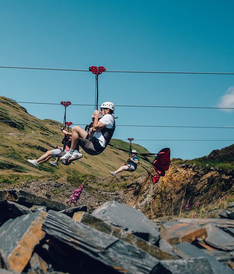 Zip World Titan 123