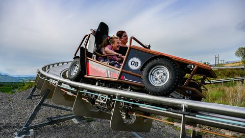 0 Z9 7009 2 Edit Edit copy