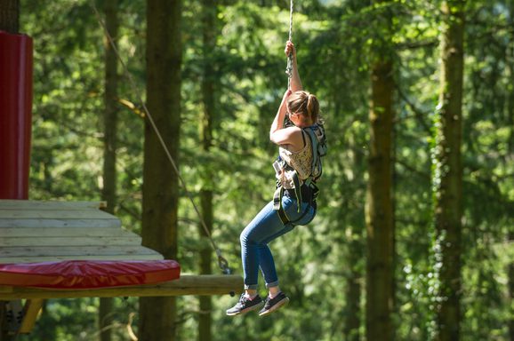 Tree Happer Tree Hoppers | A mini adventure course for brave explorers | Zip World