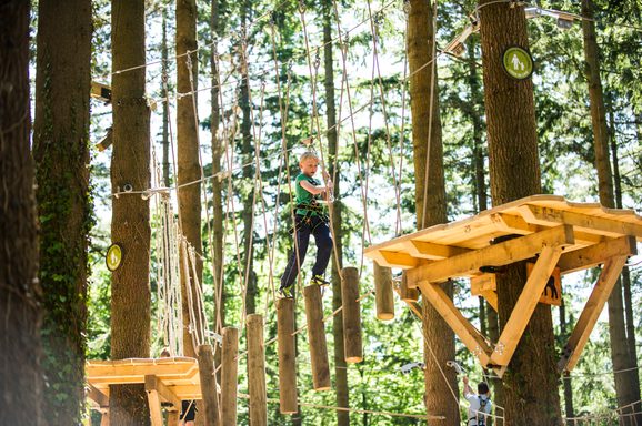 Tree Happer Tree Hoppers | A mini adventure course for brave explorers | Zip World