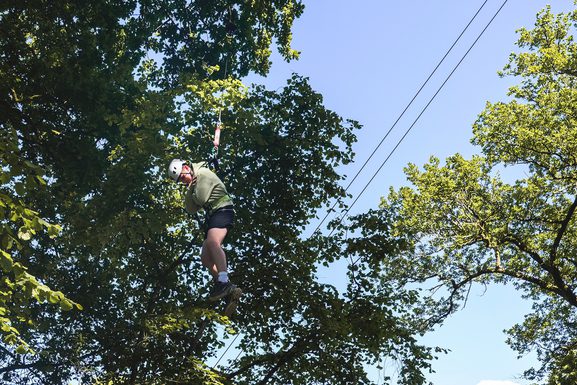Treetop Drop | A freefall experience amongst the trees of… | Zip World
