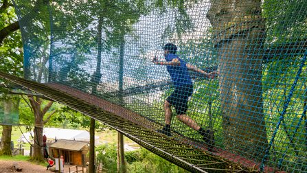 Treetop Nets