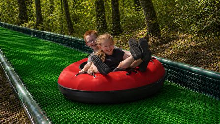 Treetop Tubing 2