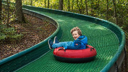 Treetop Tubing 5