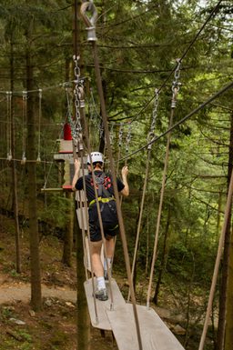 Zip Descent Ropeworks Zip Safari | A thrillingly unique woodland high ropes course | Zip World