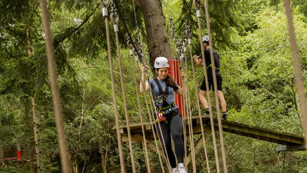 Zip Descent Ropeworks Zip Safari | A thrillingly unique woodland high ropes course | Zip World