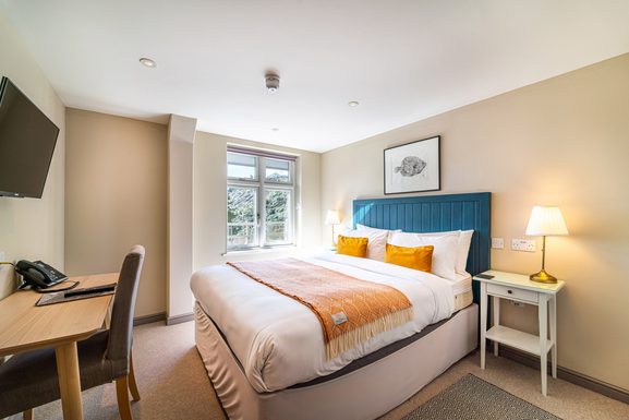 Day1 Hotel Glamping291