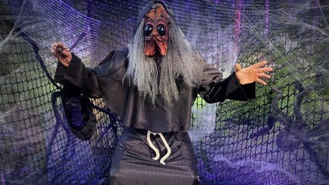 Arachnophobia Website Image 1