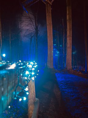 Photo 02 12 2023 17 03 53