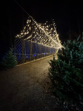Photo 20 12 2025 17 41 33