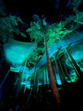 Photo 25 10 2023 19 08 28