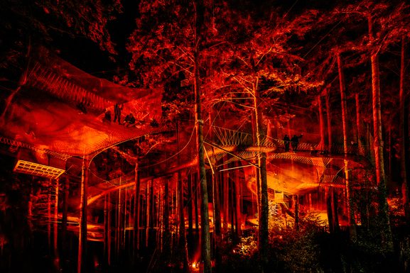 0 Z9 9318 Edit Edit 1