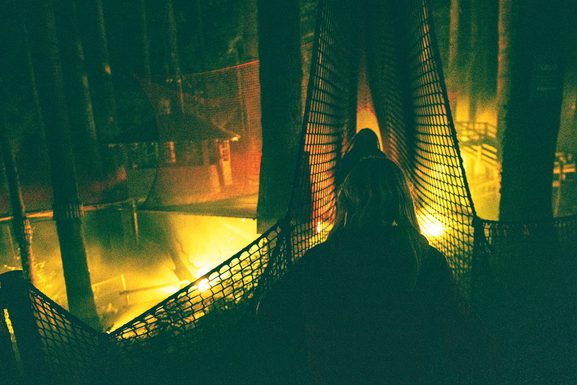 Fear forest 23 lo 115