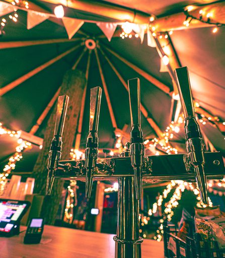 Fear forest 23 lo 17