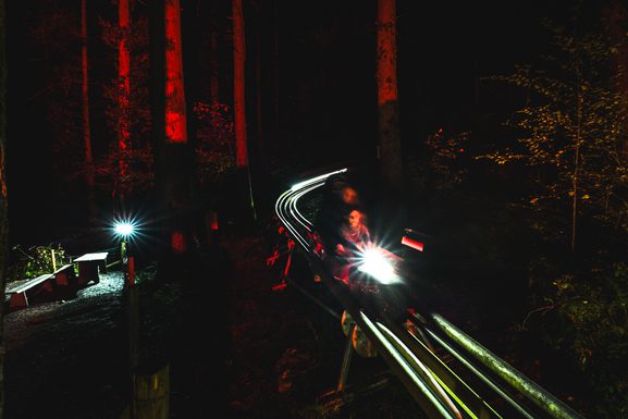 Fear forest 23 lo 86