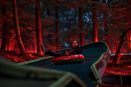 Midnight Forest Luge Ride