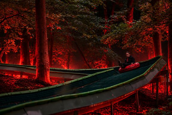 Red Glow Luge Through the Night Forest