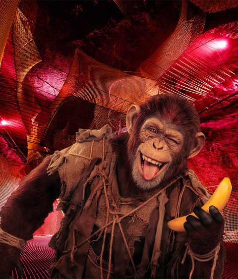 Bounce Below Monkey Madness v2