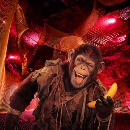 Bounce Below Monkey Madness v2