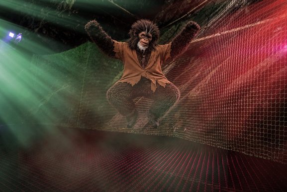 Bounce Below Monkey Scene v6
