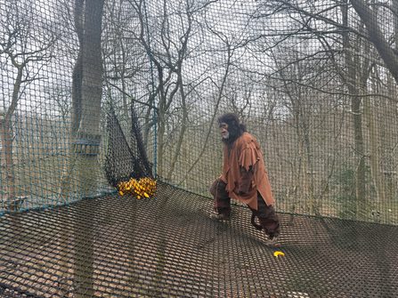 Photo 23 03 2026 12 56 24