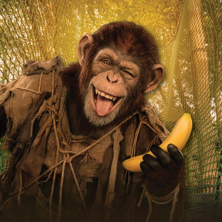 Poster Monkey on Background