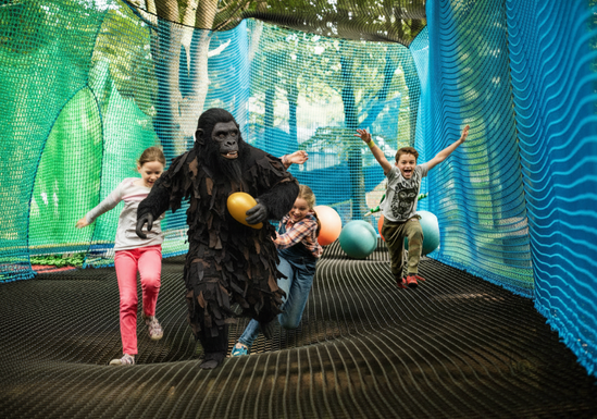 Screenshot 2026 02 10 at 12 03 05 1